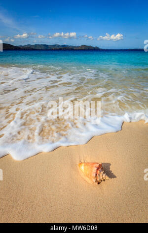 Conques sur une belle plage sur une petite île de BVI Banque D'Images