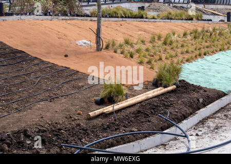 L'installation de système d'irrigation goutte à goutte avec nouvelle solution horticole, projet d'aménagement paysager, de créer un lieu de promenade et de détente. Banque D'Images