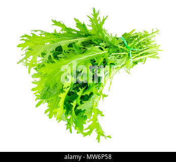 Feuilles de chou vert japonais mizun. Studio Photo Banque D'Images