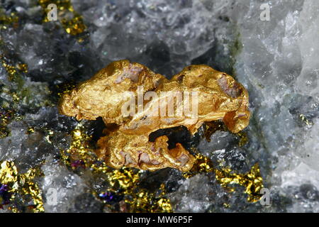 Big nugget d'or et de quartz de Laponie Banque D'Images