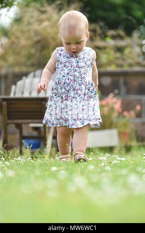 Belle Jeune fille bébé enfant à 18 mois avec des cheveux blonds courts walking in garden - modèle publié photographie prise par Simon Dack Banque D'Images