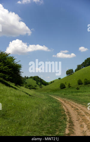 Zagajica hills en Serbie, beau paysage à un jour d'été Banque D'Images