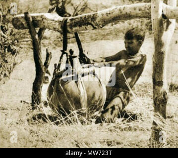 . Un garçon d'Afrique. La photo prise par Kazimierz Nowak (1897-1937) lors de son voyage en Afrique - un voyageur polonais, correspondant et photographe. Probablement le premier homme dans le monde qui ont traversé l'Afrique du Nord au Sud et du sud au nord (de 1931 à 1936 ; à pied, à vélo et en canoë). environ sur 1931-36. probablement Kazimierz Nowak ou d'un auteur inconnu 29 African boy Banque D'Images