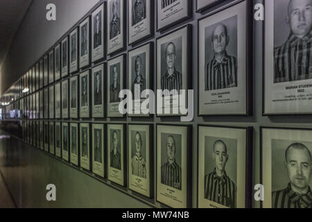 Auschwitz, Pologne - la plus meurtrière parmi les camps d'extermination construit au cours de l'holocauste, encore aujourd'hui, c'est toujours un coup de pied dans l'estomac pour les visiteurs Banque D'Images