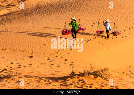 Femme transportant panier de fleurs au coucher du soleil dans les dunes de sable de Mui Ne, Vietnam Banque D'Images