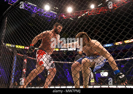 Mukhomad Vakhaev (gauche) rocks Tanner Boser avec un poinçon au PBR 54 à Manchester, au Royaume-Uni. Vakhaev gagnés par une décision partagée. Championnat absolue Berkut, Mixed Martial Arts, MMA lutte. Banque D'Images