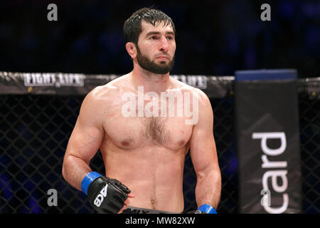 Abdul-Rakhman Dzhanaev, artiste martial mixtes (MMA fighter), à l'ACB 54 à Manchester, au Royaume-Uni. Championnat absolue Berkut, Mixed Martial Arts, MMA lutte. Banque D'Images