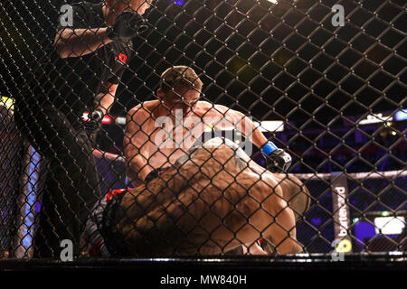 Brendan Loughnane hits Mike Wilkinson avec poinçons au PBR 54 à Manchester, au Royaume-Uni. La vague de genoux Loughnane et poinçons mèneraient à son premier tour la victoire par KO (knockout). Championnat absolue Berkut, Mixed Martial Arts, MMA lutte. Banque D'Images