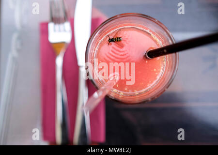 Le jus de pamplemousse dans le verre sur la table avec la noyade wasp dans le verre au restaurant à Jurmala, Lettonie. Banque D'Images