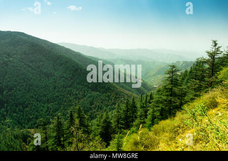 Himalaya couvert d'arbres passant au loin dans la distance et couverte de pins. L'Himachal Pradesh a beaucoup de ces sites touristiques, ce qui en fait un favori pour des vacances touristiques Banque D'Images