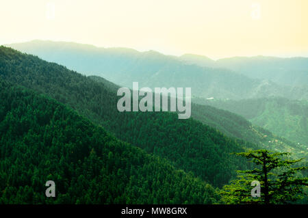 Himalaya couvert d'arbres passant au loin dans la distance et couverte de pins. L'Himachal Pradesh a beaucoup de ces sites touristiques, ce qui en fait un favori pour des vacances touristiques Banque D'Images