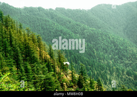 Himalaya couvert d'arbres passant au loin dans la distance et couverte de pins. L'Himachal Pradesh a beaucoup de ces sites touristiques, ce qui en fait un favori pour des vacances touristiques Banque D'Images