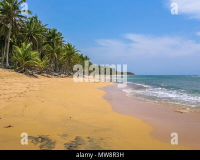 La nature et la Playa Rincon près de Las Galeras dans la péninsule de Samana. La spectaculaire Playa Rincon est situé à l'extrémité nord-est de la République dominicaine. Banque D'Images