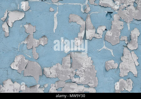 Close-up et patiné bleu teint texture mur de béton obsolète. Vieux avec détaillées de la surface de la couche de peinture craquelée Banque D'Images