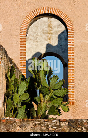 Cactus et archway à MINA Santa Brigida - MINERAL DE POZOS, MEXIQUE Banque D'Images