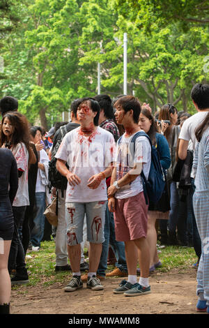 Zombie Walk Sydney, Australie, le 2 novembre 2013 : Les participants habillés en costumes et la marche comme les morts-vivants Banque D'Images