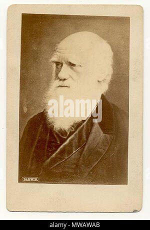 . Anglais : une carte de visite photographie de Charles Darwin . Date inconnue (années 1860 aux années 1880). Inconnu 122 carte de visite de Charles Darwin Banque D'Images