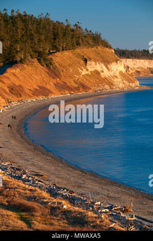 Sentier Bluff view, Ebey's Landing State Park, Ebey's Landing, Washington National réserve Historique Banque D'Images