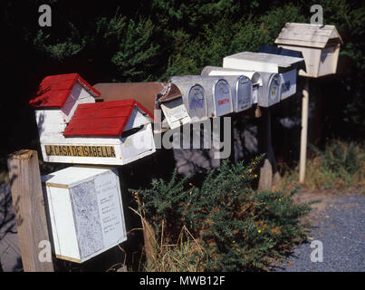 Île de Waiheke Auckland Nouvelle Zelande. photos Neville Marriner numérisées à partir de film Banque D'Images