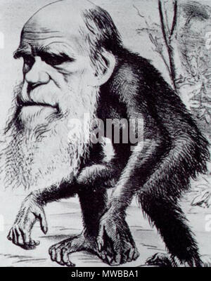 . English : 'un orang-outang vénérable', une caricature de Charles Darwin comme un singe publié dans le Hornet, un magazine satirique Deutsch : Man sieht Darwin als Affen dargestellt, était eine Anspielung auf seine. Evolutionstheorie Senneur Frameries entwickelten nach sich die Menschen aus den Affen, a été damals eine völlig neue Vorstellung la guerre. 22 mars 1871. Inconnu 153 ape Darwin2 Banque D'Images