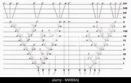 . L'arbre de vie libre qui a paru dans l'ouvrage l'origine des espèces par la sélection naturelle, 1859. C'est la seule figure à l'origine des espèces, Darwin. utilisé cet arbre de vie (TOL) comme un modèle de la théorie de l'évolution. Chargé de Http://www.physorg.com/news92912140.html . Ce fichier n'est pas informations sur l'auteur. 153 Darwins arbre de vie 1859 Banque D'Images