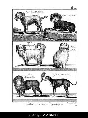188 Encyclopédie méthodique - mammalogie, pl100 Banque D'Images