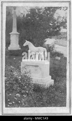 . Carte de visite photographie par Augustin Folsom de Boston et à Roxbury. 19e siècle. Folsom 252 Cimetière par Augustin Folsom cdv Banque D'Images