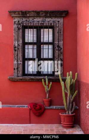 Cactus, Fenêtre et mur rouge - San Miguel de Allende, Mexique Banque D'Images