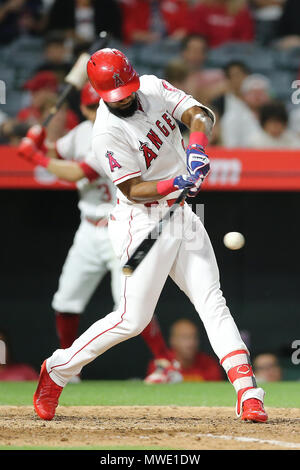 Californie, USA. 1er juin 2018. Los Angeles Angels champ centre Chris Young (24) des célibataires dans le jeu entre les Texas Rangers et Los Angeles Angels of Anaheim, Angel Stadium d'Anaheim, CA, photographe : Peter Renner and Co Crédit : Cal Sport Media/Alamy Live News Banque D'Images