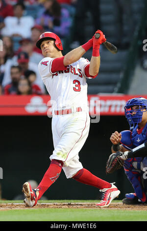 Californie, USA. 1er juin 2018. Los Angeles Angels le deuxième but Ian Kinsler (3) lance un homer dans le jeu comme Texas Rangers catcher Carlos Perez (60) entre les Rangers du Texas et Los Angeles Angels of Anaheim, Angel Stadium d'Anaheim, CA, photographe : Peter Renner and Co Crédit : Cal Sport Media/Alamy Live News Banque D'Images