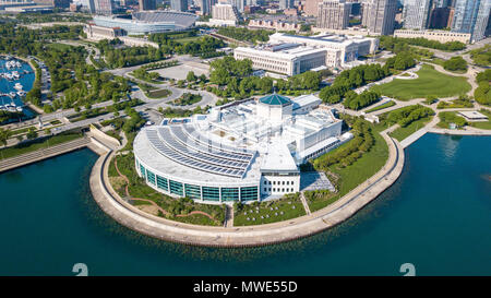 L'Aquarium Shedd, Chicago, Illinois, USA Banque D'Images