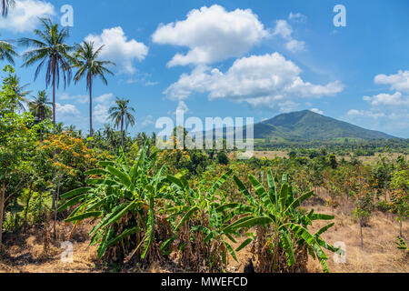 Panorama de Koh Samui. La Thaïlande. Banque D'Images