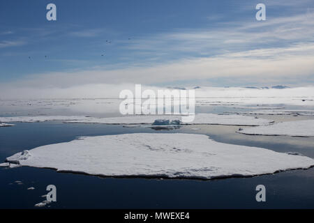 La glace de mer dans l'océan Arctique au nord de la côte de Monte Carlo, avec du brouillard dans la formation à l'arrière-plan Banque D'Images