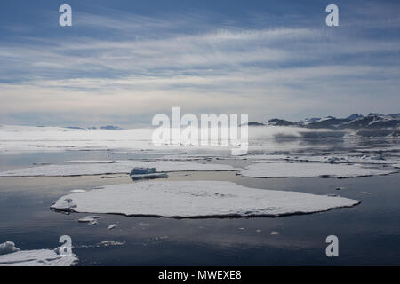 La glace de mer dans l'océan Arctique au nord de la côte de Monte Carlo, avec du brouillard dans la formation à l'arrière-plan Banque D'Images