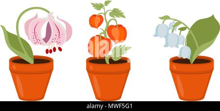 Pots de fleurs colorés vecteur sur fond blanc Illustration de Vecteur
