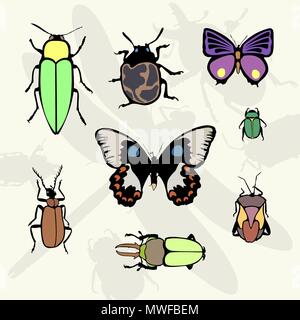 Ensemble d'insectes coléoptères - illustrations colorées, des bugs, et les papillons, libellules Illustration de Vecteur