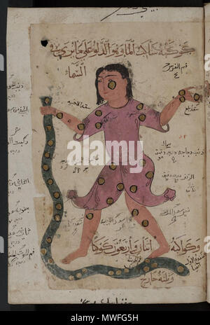 . Kitab al-Bulhan  = astrologie/astronomie/composite la géomancie arabe manuscrit . Fin du 14ème siècle. Plusieurs/Inconnu 341 Kitab al-Bulhan --- l'homme et le serpent Banque D'Images