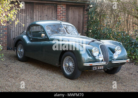 1954 Jaguar XK 120 avec tête fixe les sangles de capot en cuir brun Banque D'Images