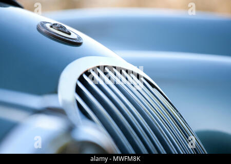 1954 Jaguar XK 120 avec tête fixe les sangles de capot en cuir brun Banque D'Images