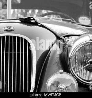 1954 Jaguar XK 120 avec tête fixe les sangles de capot en cuir brun Banque D'Images