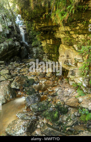 Rock formation et cascade dans la grotte cascade inférieure, la réserve naturelle de Jonkershoek, garden route, South Africa Banque D'Images