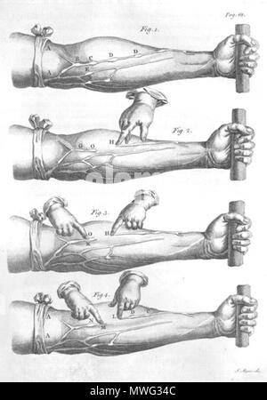. William Harvey (1578-1657) : Opera omnia. Un Collegio Medicorum Londinensi edita, 1766. Janvier 2008. Les veines du bras de Harvey 267 McLeod Banque D'Images