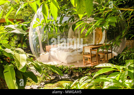 Camping dans la nature au domaine des bulles, Vauclin, Martinique Banque D'Images