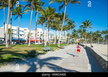 MIAMI - 27 décembre 2017 : les joggeurs du matin sur le bord de la promenade la promenade au parc Lummus à South Beach. Banque D'Images