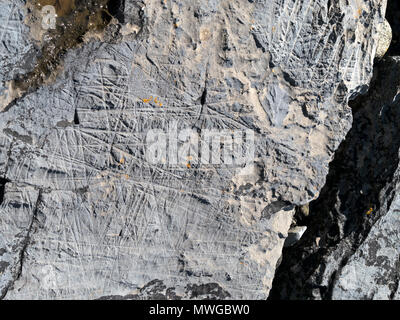 Libre de glaces en dérive multi-directionnel mudstone marques d'abrasion rock illustré dans l'image MWGBW Alamy2, Glen Scaladal Bay, île de Skye, Écosse, Royaume-Uni Banque D'Images