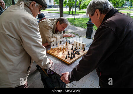 Les hommes jouant aux échecs dans un parc, Odessa, Ukraine Banque D'Images
