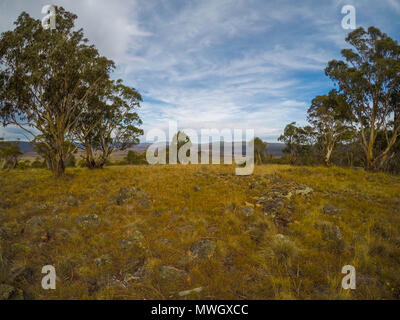 Les basses terres vu du sommet d'une montagne dans le Parc National de Kosciuszko, en Australie. Banque D'Images