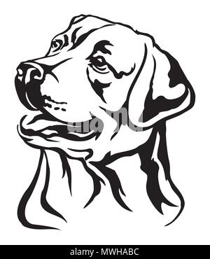 Portrait de décoration de chien labrador retriever, vector illustration en couleur noir isolé sur fond blanc Illustration de Vecteur