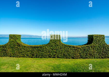 Couverture en face du lac Léman, Haute Savoie, France Banque D'Images