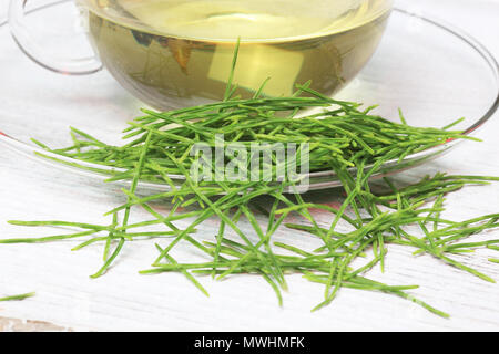 Horsetailtea, thé, thé médicinal, herbtea, plante médicinale, Equisetum arvense, la prêle des champs ou prêle commune Banque D'Images